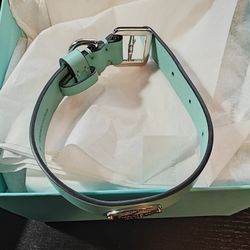 Tiffany And Co. Pet Collar 