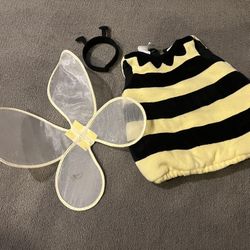 Pottery Barn Baby Bumble Bee Halloween Costume  
