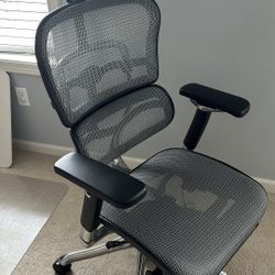 Ergohuman Pro Office Chair