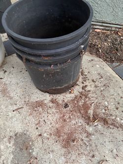 10 Gallons Large pots $2 each