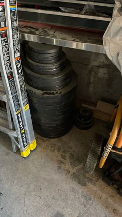 Weight Lifting plates Rogue