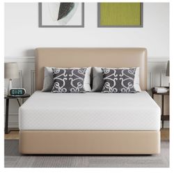 Full Sized Mattress