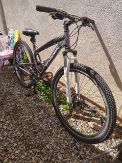 Schwinn S-29 full-suspension mountain