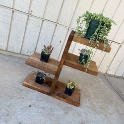 Plant Stand With Plants 