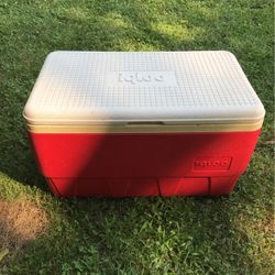 Igloo 36 Qt Cooler