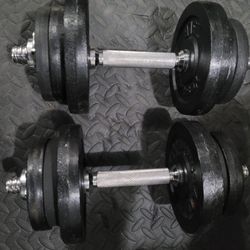 25lbs Dumbells Weights 