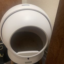 Auto Cat Litter 