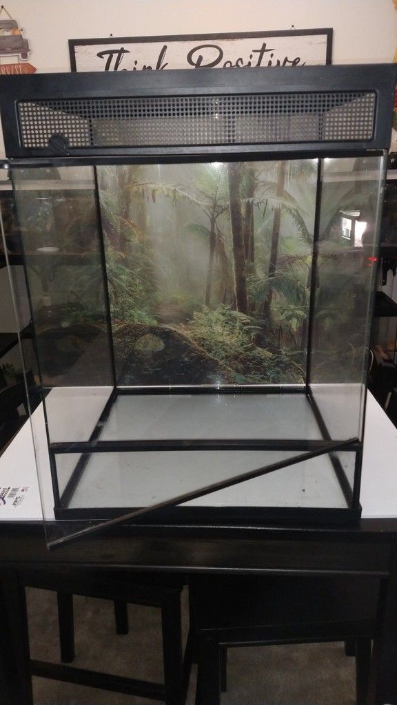 18x18x24 Terrarium 