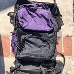 Coleman Camping bag