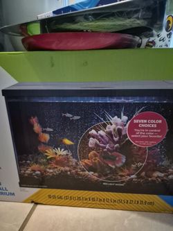 Top Fin Glass Aquarium