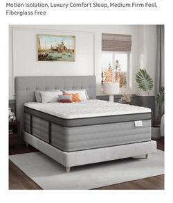 Amazon Mattress