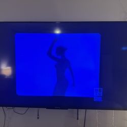 65 Inch TV X2 
