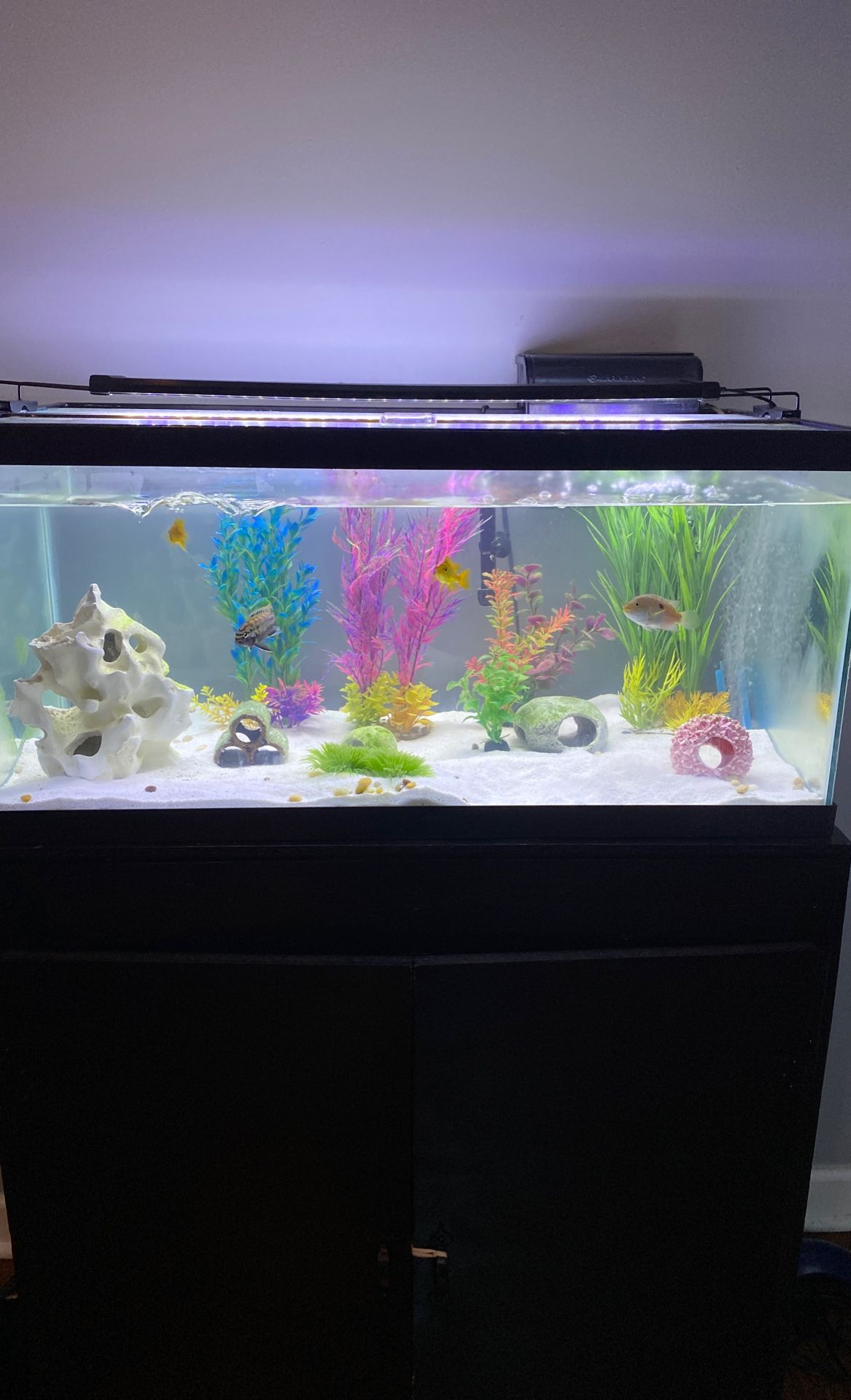 40-50 gallons fish tank with stand