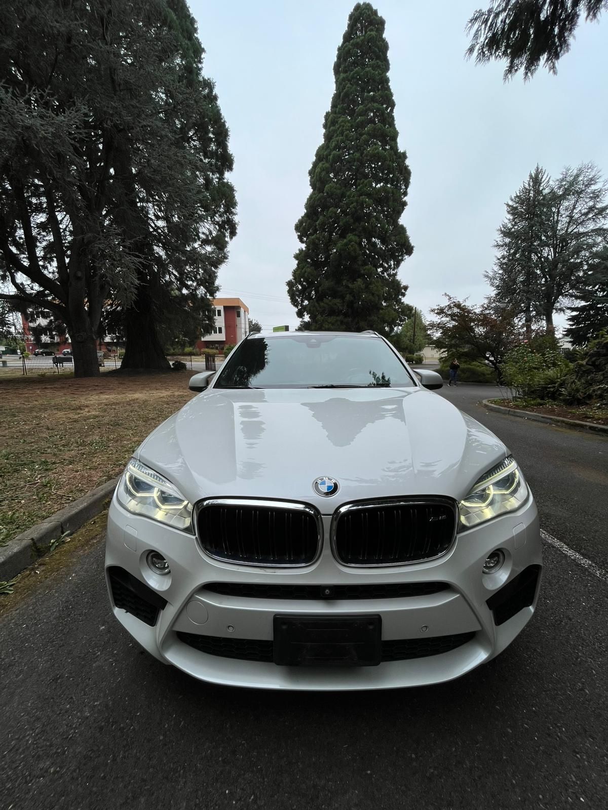 2015 BMW X5