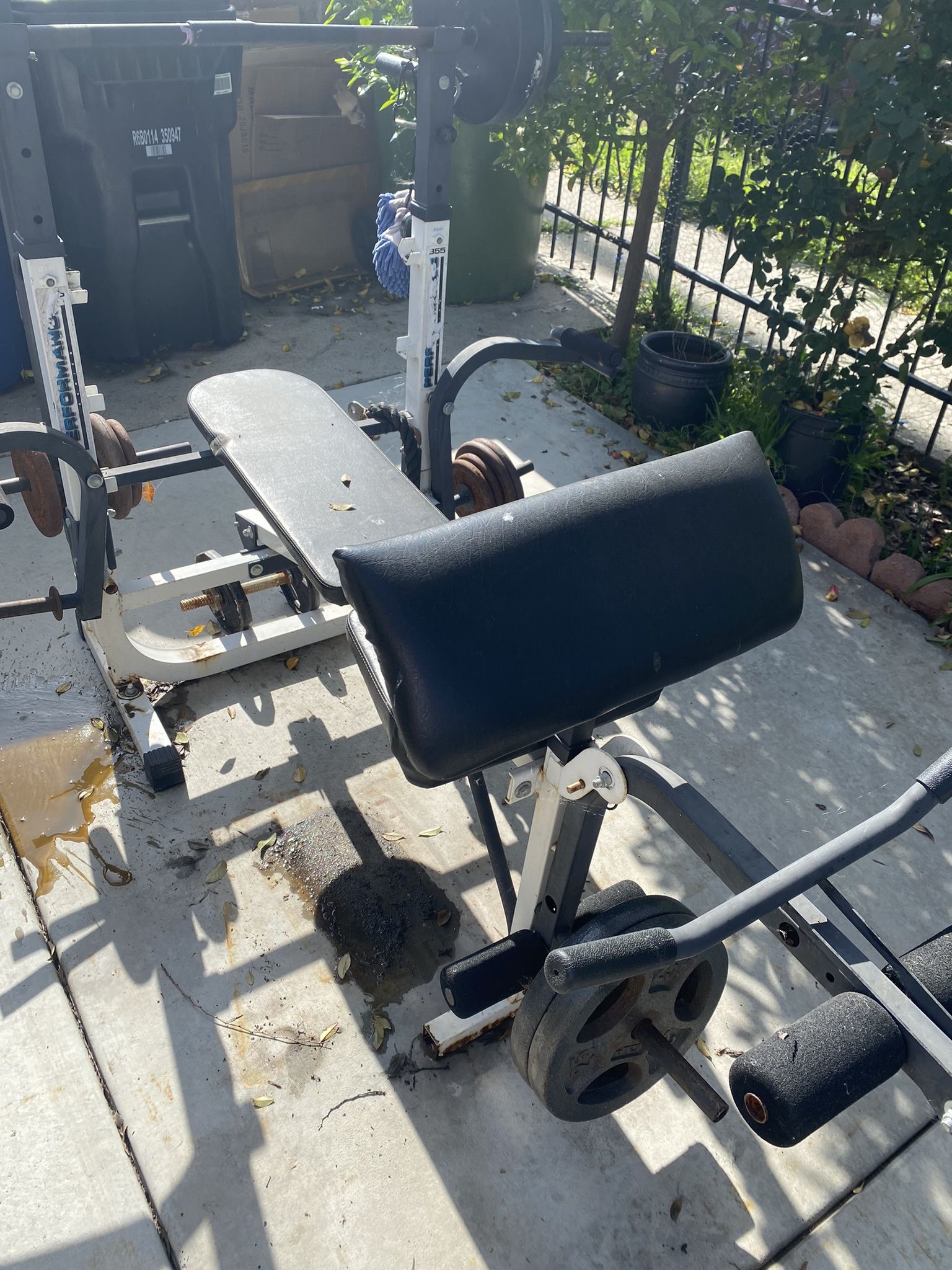 Multi-Angle Bench + Weights