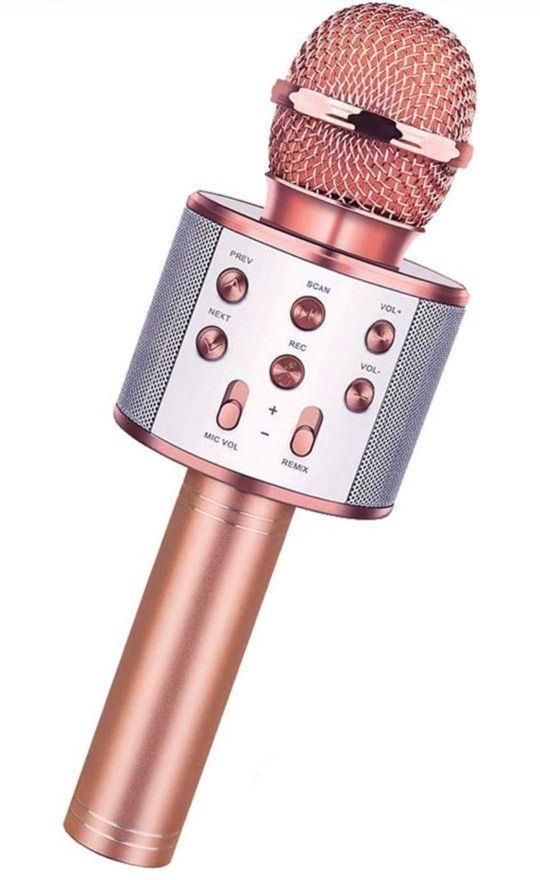 KARAOKE Microphone