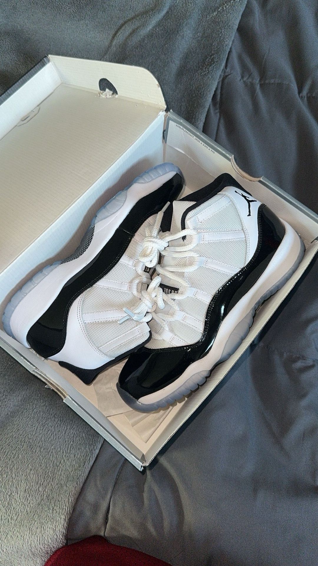 Jordan 11 Concord
