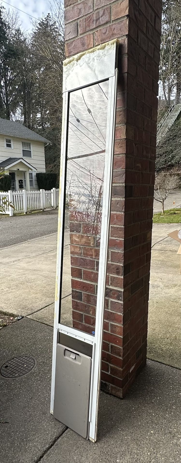 Petsafe Dog Door
