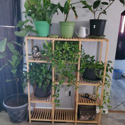 Plant Stand For Sale. 