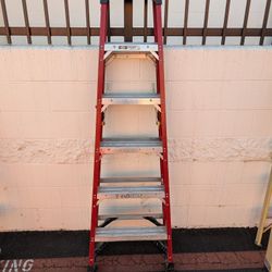 6' Werner Ladder