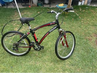 Schwinn