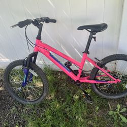 Nishiki Bike For Girl.