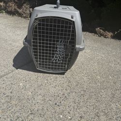 Free Dog/cat Kennel 