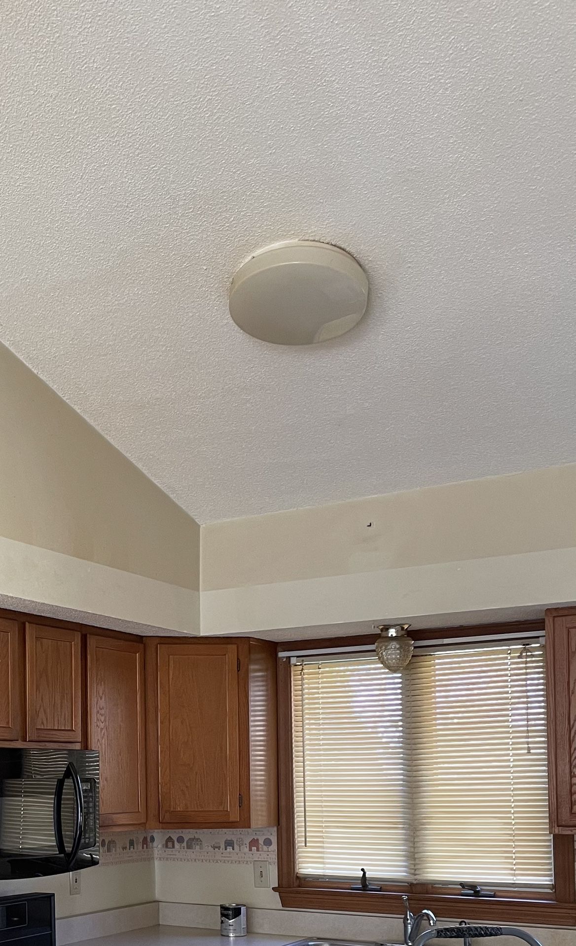 Light Fixture