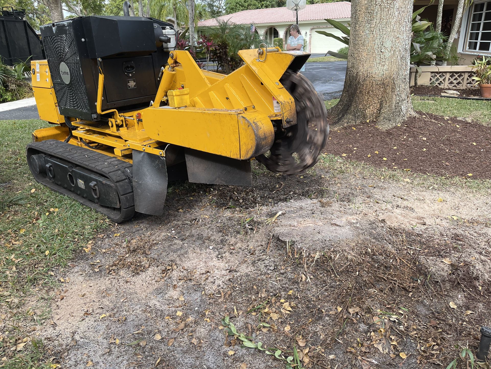 Stumps, Roots, Trees We Do Em All