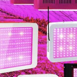 Led Grow Lights 
