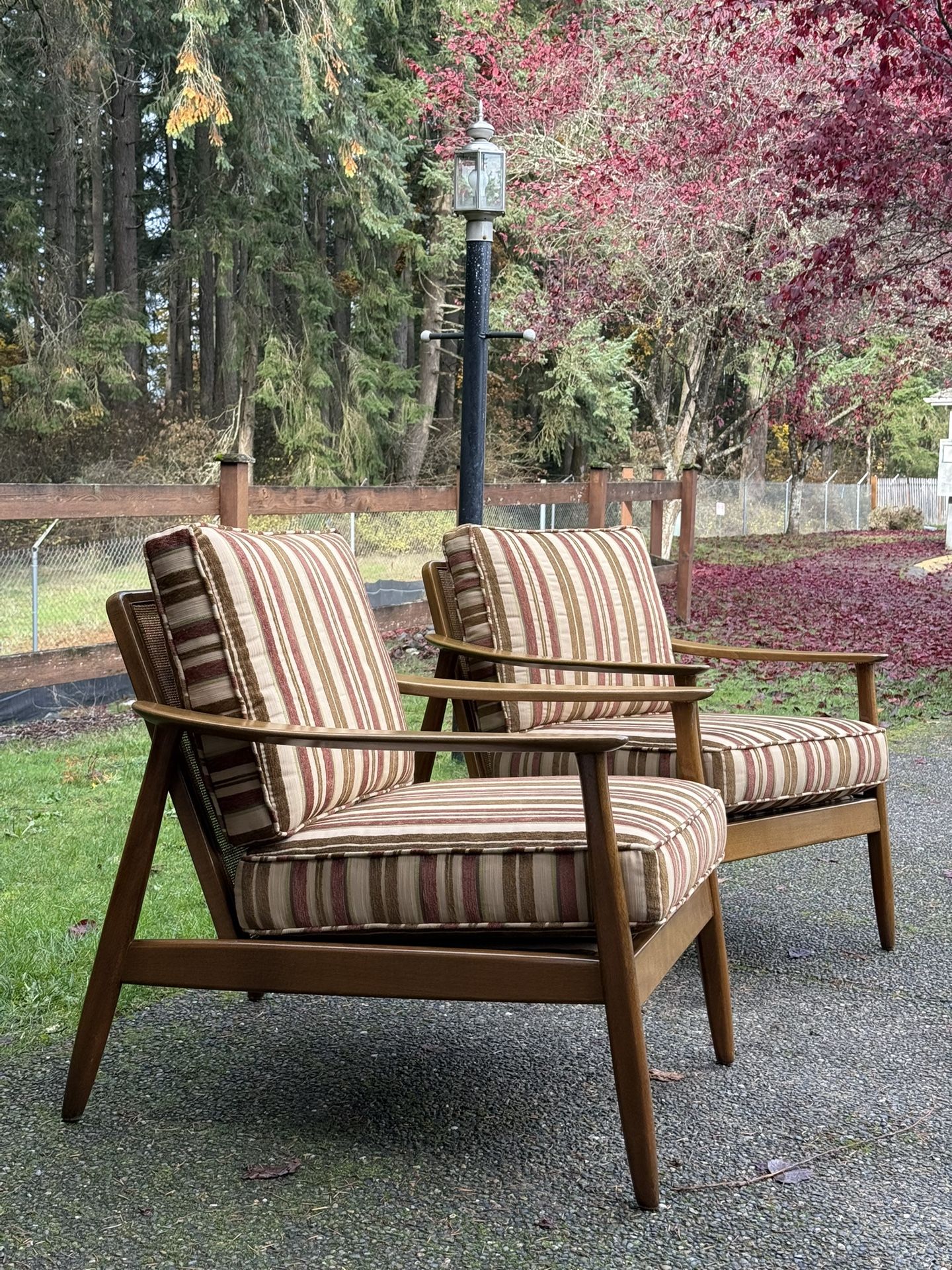1960s Fumed Oak Folke Ohlsson for Dux Linen Lounge Chair W/ Cane Back