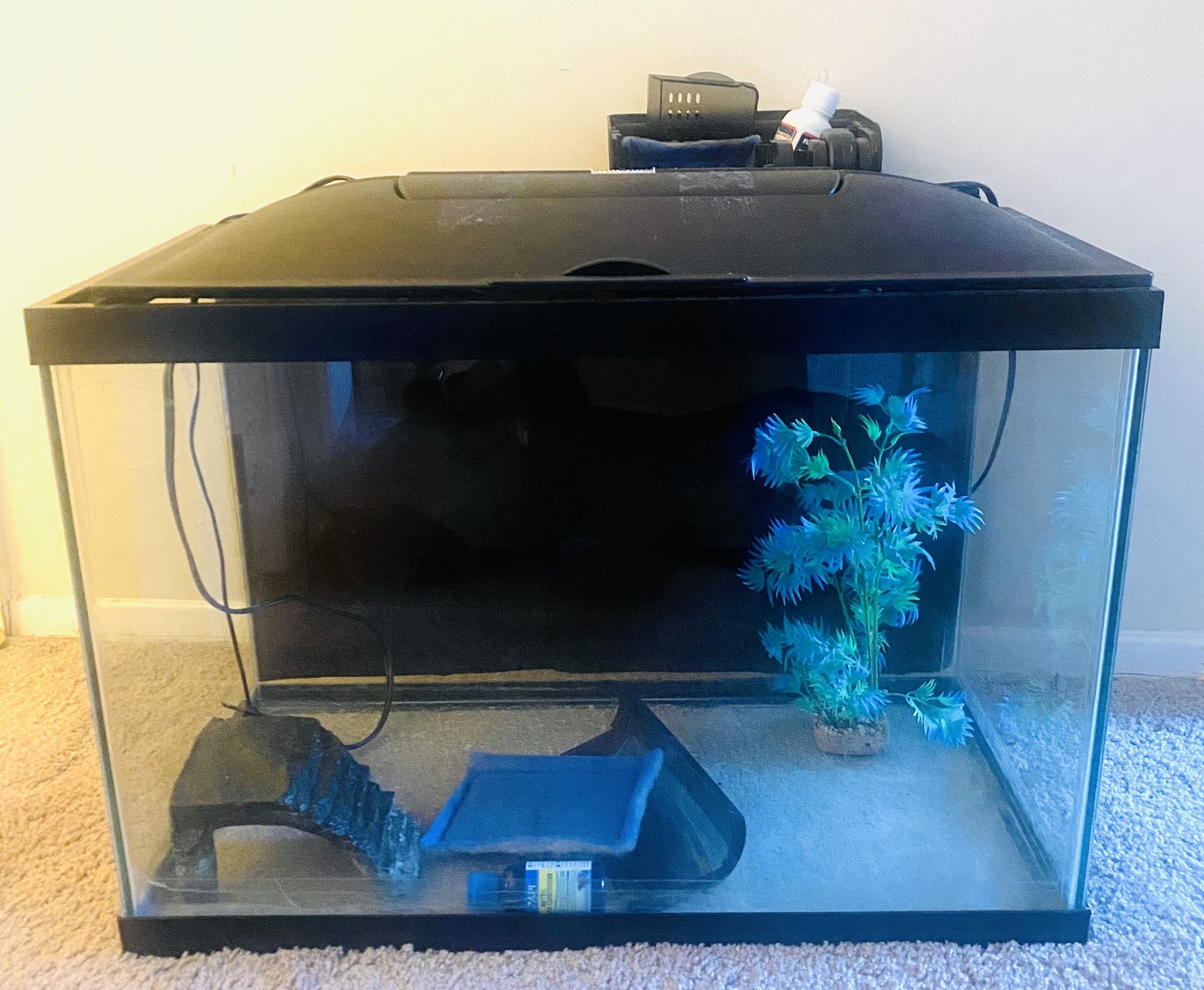 Aquarium