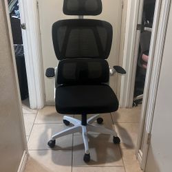 Ergonomic Office Chair 