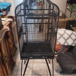 Bird Cage