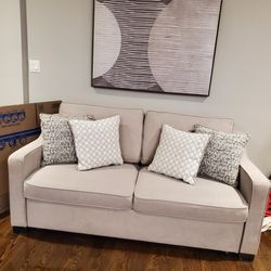 Sofa/Pullout Bed w/ 4 accent pillows