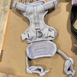 Small dog harness