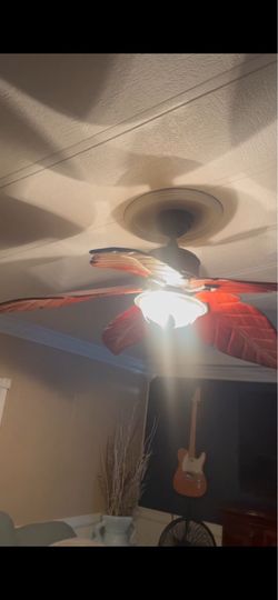 Ceiling fan
