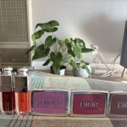 Dior Lip Oil & Blush 