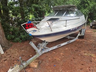 Bayliner