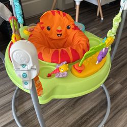 Fisher-Price baby bouncer