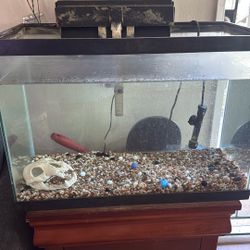 20 Gal Fish Tank 