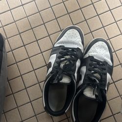 panda dunks