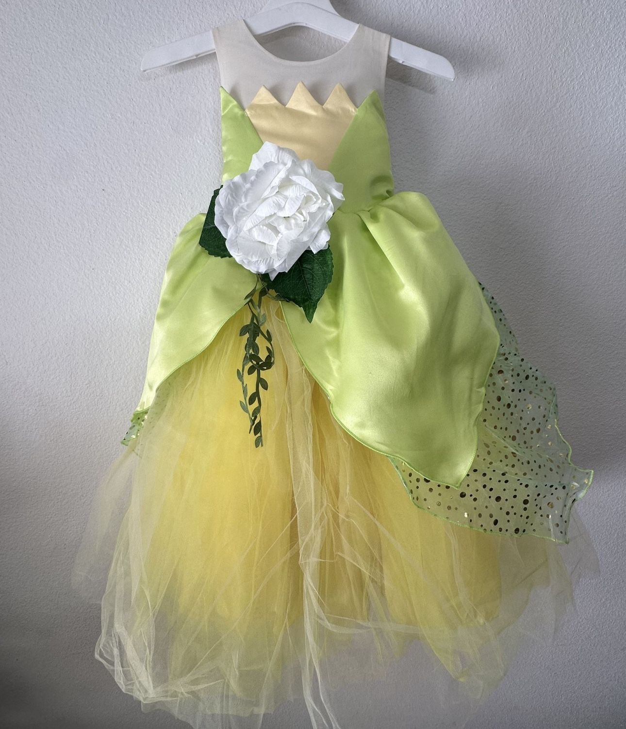 New Princess Tiana Dress (Princess & The Frog)✨✨