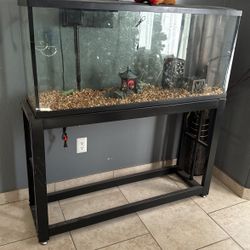 Fish Tank 