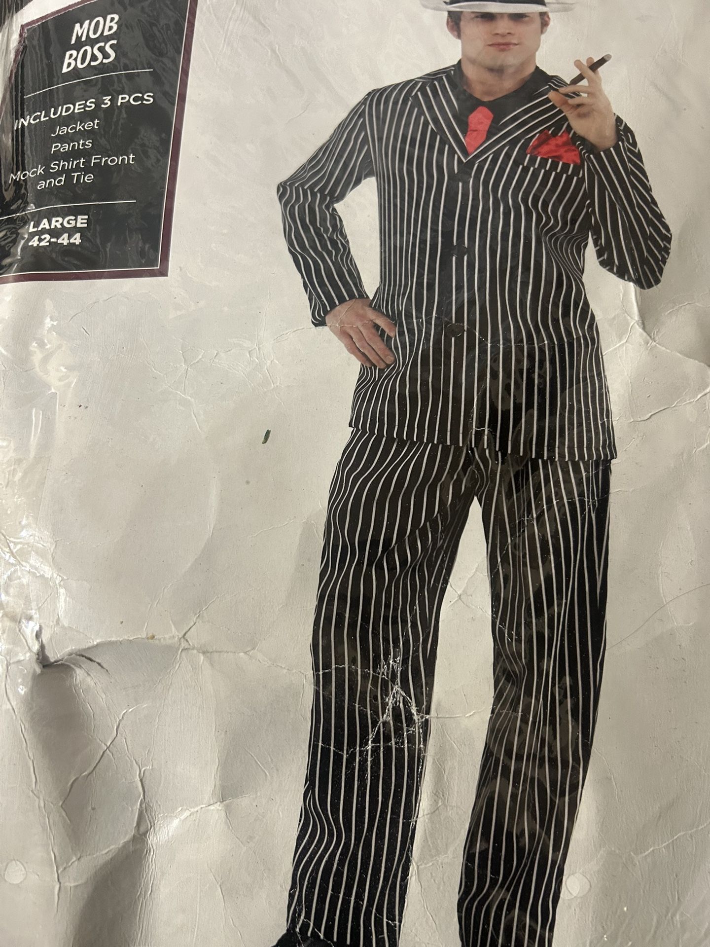 Adult Costume