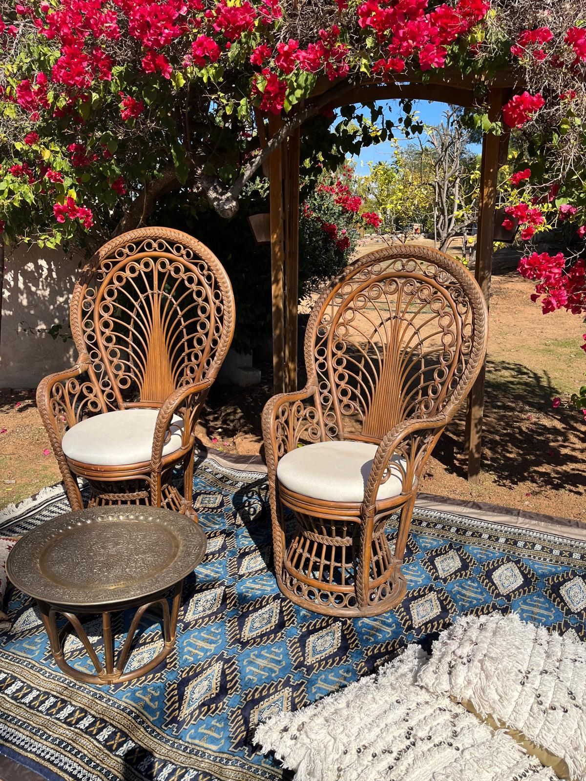 2 Rattan peacock chair