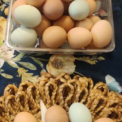 Fresh Organic Eggs For Sale 