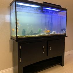 fish tank, Fish fish tank base, filters, lamps, heating rods, oxygen rods, automatic fish feeders, fish food and so on. Fish tan