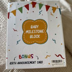 Baby Milestone Blocks