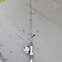 Fishing pole and spincast reel